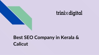 Best SEO Company in Kerala & Calicut