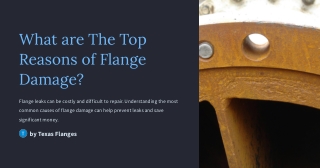 What are The Top Reasons of Flange Damage