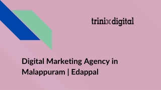 Digital Marketing Agency in Malappuram _ Edappal