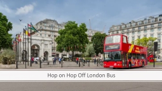 Guide on Hop on hop off London Bus Tours