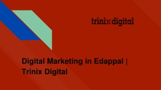 Digital Marketing in Edappal _ SEO, SMM, PPC Services