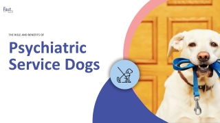 What are the Benefits of Psychiatric Service Dogs?