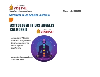Best Astrologer in Los Angeles California - astrovishnuguruji