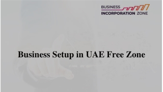 Business Setup in UAE Free Zone