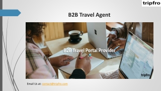 B2B Travel Agent
