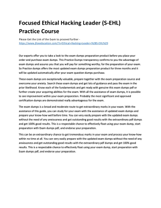 Focused Ethical Hacking Leader (S-EHL) Practice Course