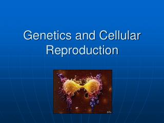 Genetics and Cellular Reproduction