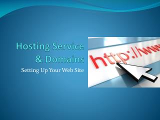 Hosting Service &amp; Domains