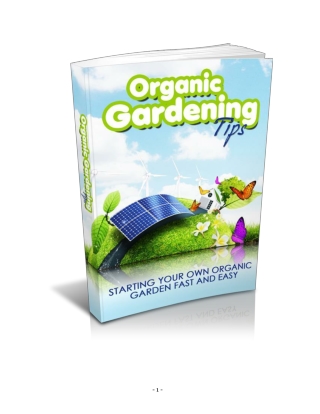 Organic Gardening Tips