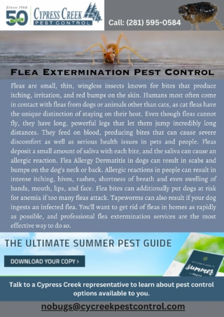 Flea Extermination Pest Control