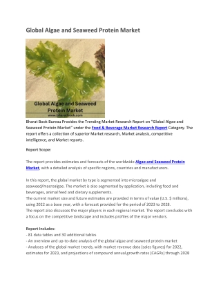 Global Algae and Seaweed Protein Market