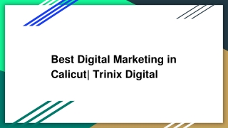 Best SEO Company in Calicut| Trinix Digital
