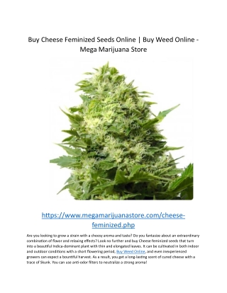 Buy Cheese Feminized Seeds Online