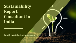 The importance of Sustainability Reporting to corporate strategy