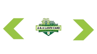 Effective Weed Control And Treatment Services At A&A Lawn Care