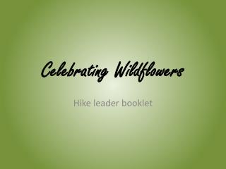 Celebrating Wildflowers