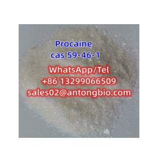 Procaine hcl CAS 59-46-1 C13H20N2O2