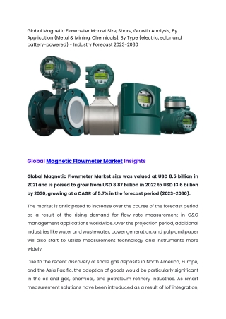 Global Magnetic Flowmeter Market