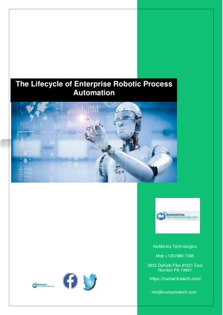 The Lifecycle of Enterprise Robotic Process Automation