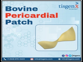 Bovine Pericardial Patch