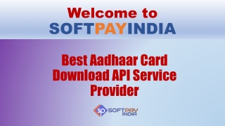 Get Aadhaar Download API at Affordable Price