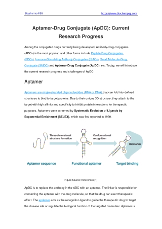 Aptamer-Drug Conjugate (ApDC) Current Research Progress