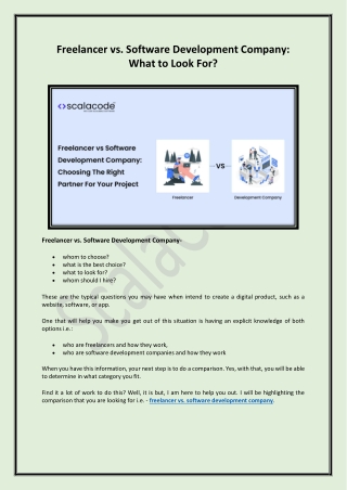 Freelancer vs. Software Development Company: What To Look For?