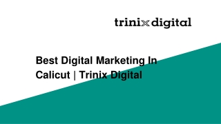 Best Digital Marketing In Calicut | Trinix Digital