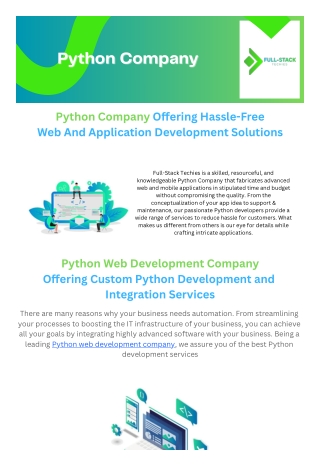 Best Python Company in USA