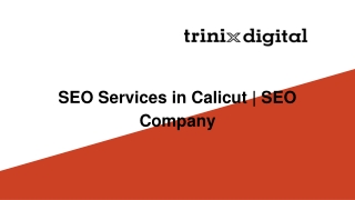 SEO Services in Calicut | SEO Company