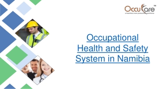 Occupational Health and Safety System in Namibia