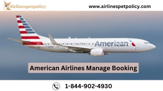 American Airlines Manage Booking