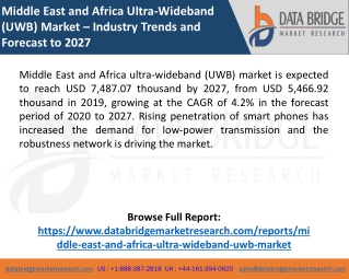 Middle East & Africa Ultra-Wideband (UWB) Market