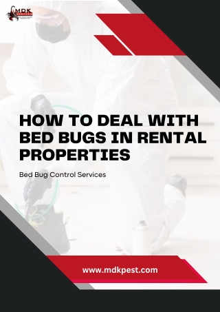 How to Deal with Bed Bugs in Rental Properties?