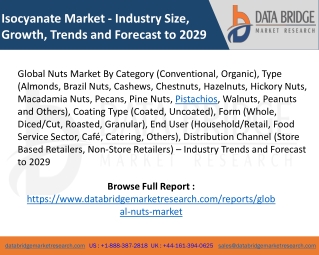 Global Nuts Market