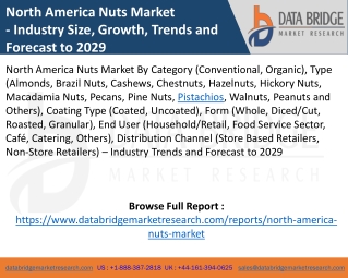 North America Nuts Market