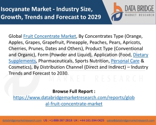 Global Fruit Concentrate Market