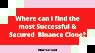Where can I find the most Successful & Secured Binance Clone?