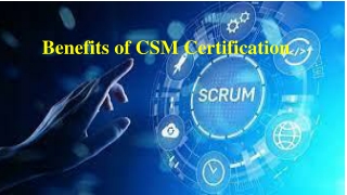 Scrum Master Course Online