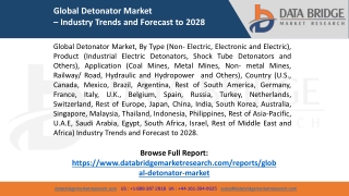 Global Detonator Market