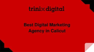 Best Digital Marketing Agency in Calicut