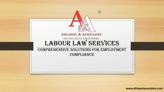 Navigating Labour Law: Expert Services for Compliance
