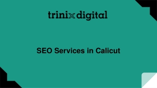 SEO Services in Calicut | SEO Agency Calicut