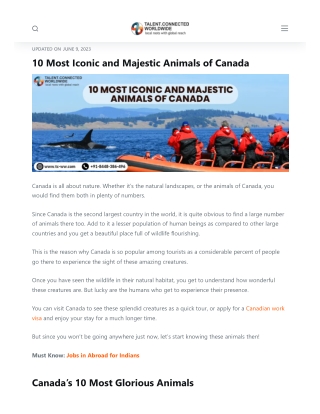 Animals of canada