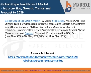 Global Grape Seed Extract Market