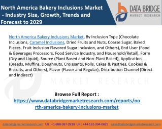 North America Bakery Inclusions Market