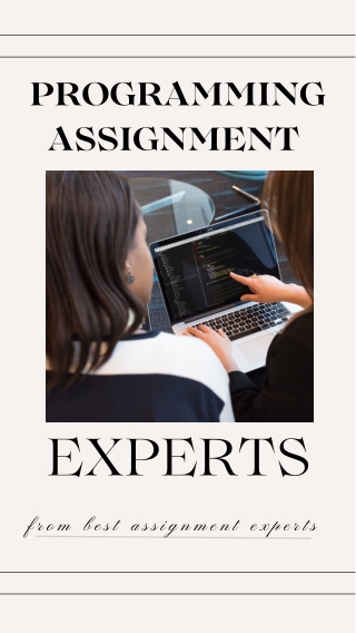 programming assignment experts