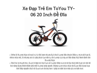 Xe Đạp Trẻ Em ToYou TY-06 20 Inch Đề Đĩa