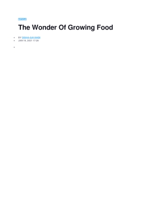 The Wonder Of Growing Food