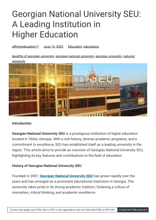 Georgian National University SEU Nurturing Excellence in Higher Education  Affinity Education